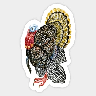 Turkey bird art Sticker